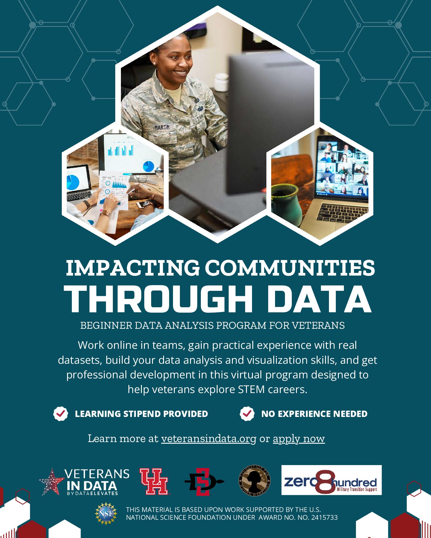 ICTD Program Flyer